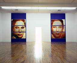 Installation photo, 4 of 20