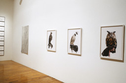Installation photo, 58 of 159