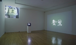 Installation photo, 1 of 11