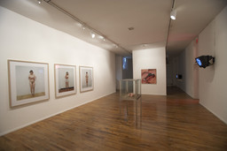 Installation photo, 21 of 82