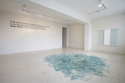 Installation photo, 10 of 21