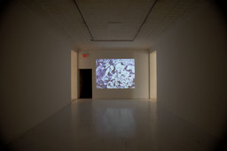 Installation photo, 15 of 21