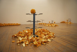 Installation photo, 3 of 20
