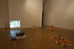 Installation photo, 8 of 20