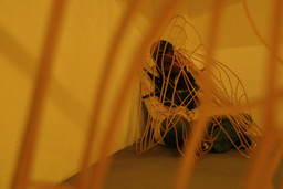 Installation photo, 59 of 80