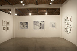 Installation photo, 6 of 16