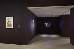 Installation photo, 4 of 23
