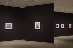 Installation photo, 6 of 23