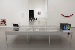 Installation photo, 7 of 9