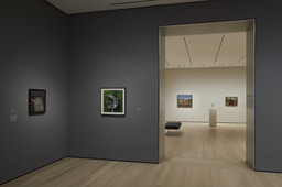 Installation photo, 2 of 30