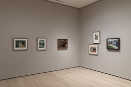 Installation photo, 9 of 17