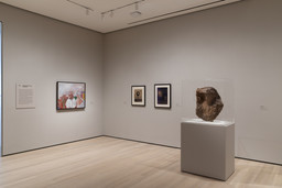 Installation photo, 2 of 17