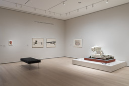 Installation photo, 6 of 12