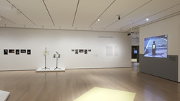 Installation photo, 7 of 91