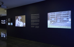 Installation photo, 3 of 23