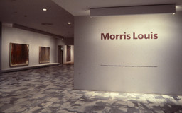 Installation photo, 18 of 29