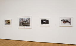 Installation photo, 5 of 13