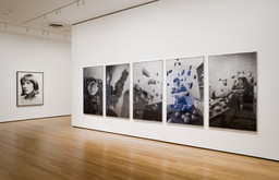 Installation photo, 9 of 13