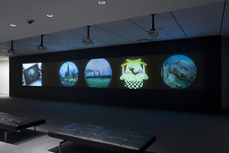 Installation photo, 6 of 18