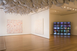 Installation photo, 12 of 35