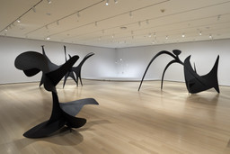 Installation photo, 2 of 57