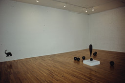 Installation photo, 1 of 19