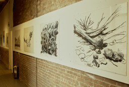 Installation photo, 1 of 17