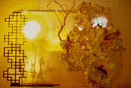 Installation photo, 7 of 17