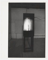 Installation photo, 1 of 1