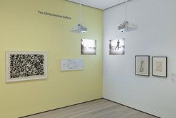 Installation photo, 20 of 27