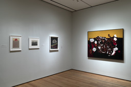 Installation photo, 14 of 37