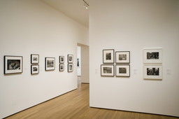Installation photo, 17 of 25