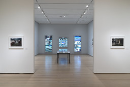 Installation photo, 30 of 73
