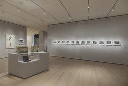 Installation photo, 8 of 22