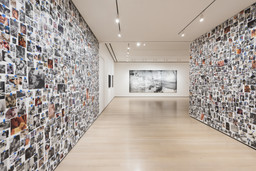 Installation photo, 56 of 93