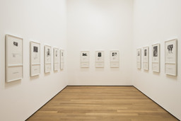 Installation photo, 1 of 235