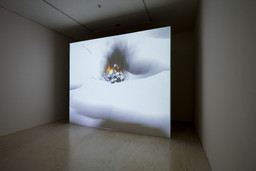 Installation photo, 36 of 81