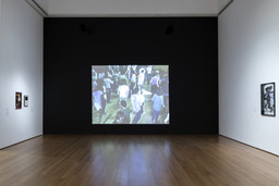 Installation photo, 33 of 235