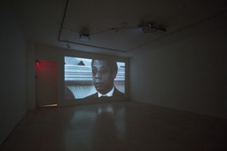 Installation photo, 11 of 47