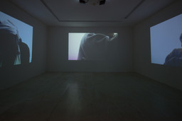 Installation photo, 17 of 47