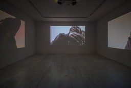 Installation photo, 19 of 47