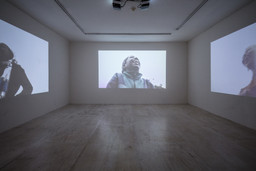 Installation photo, 20 of 47