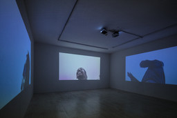 Installation photo, 23 of 47