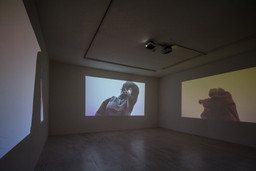 Installation photo, 24 of 47