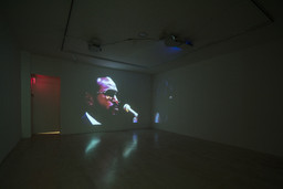 Installation photo, 27 of 47