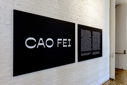 Installation photo, 2 of 63