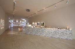 Installation photo, 1 of 19