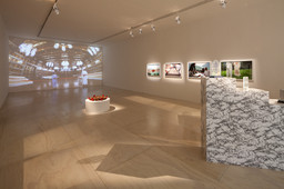 Installation photo, 2 of 19
