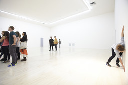 Installation photo, 47 of 113