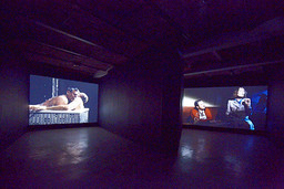 Installation photo, 3 of 45